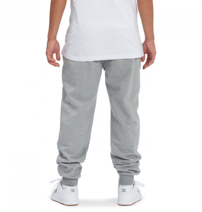 Hombre Pantalon DC Shoes Riot 2 Sweatpants Gris | WFY-304215