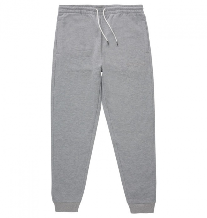 Hombre Pantalon DC Shoes Riot 2 Sweatpants Gris | WFY-304215