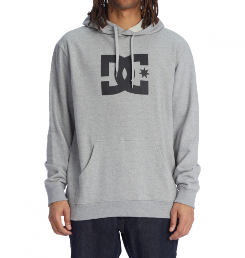 Hombre Sudaderas DC Shoes DC Star Gris | AEP-270541