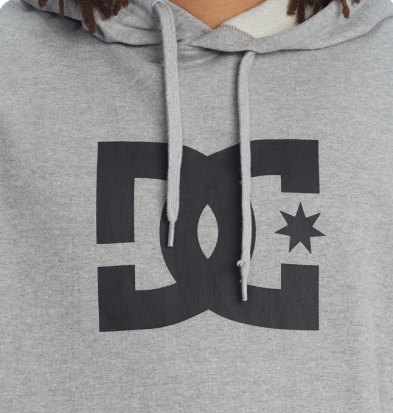 Hombre Sudaderas DC Shoes DC Star Gris | AEP-270541