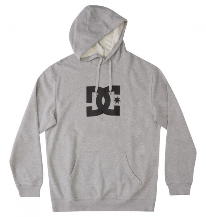 Hombre Sudaderas DC Shoes DC Star Gris | AEP-270541