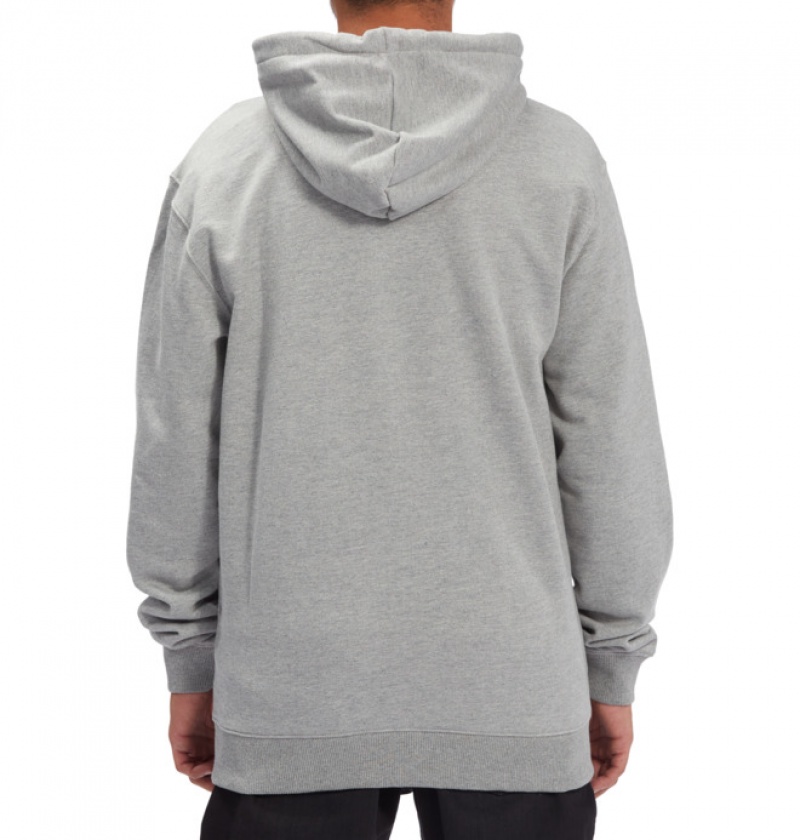 Hombre Sudaderas DC Shoes Riot 2 Zip-Up Gris | IAT-785249