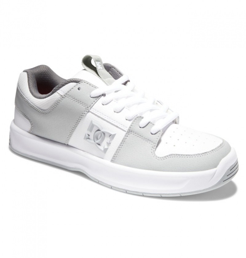 Hombre Tenis DC Shoes Lynx Zero Skate Gris | BWV-805142