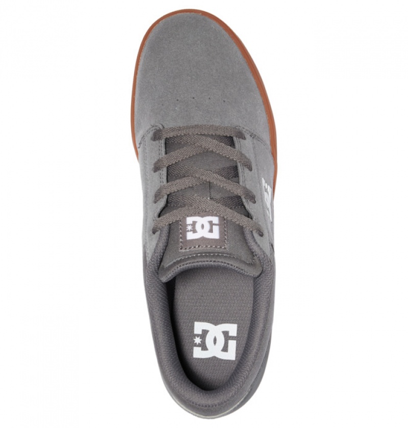 Hombre Tenis Skate DC Shoes Crisis 2 Semišové Gris | GLI-459067