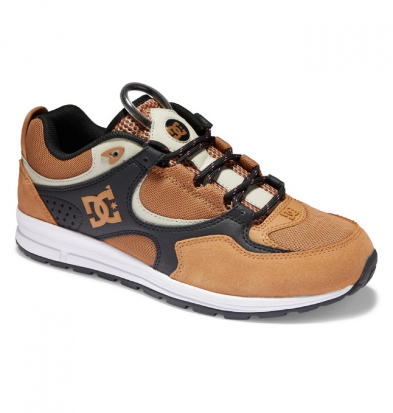 Hombre Tenis Skate DC Shoes Kalis Lite Marrones Negras Blancas | WDL-859162