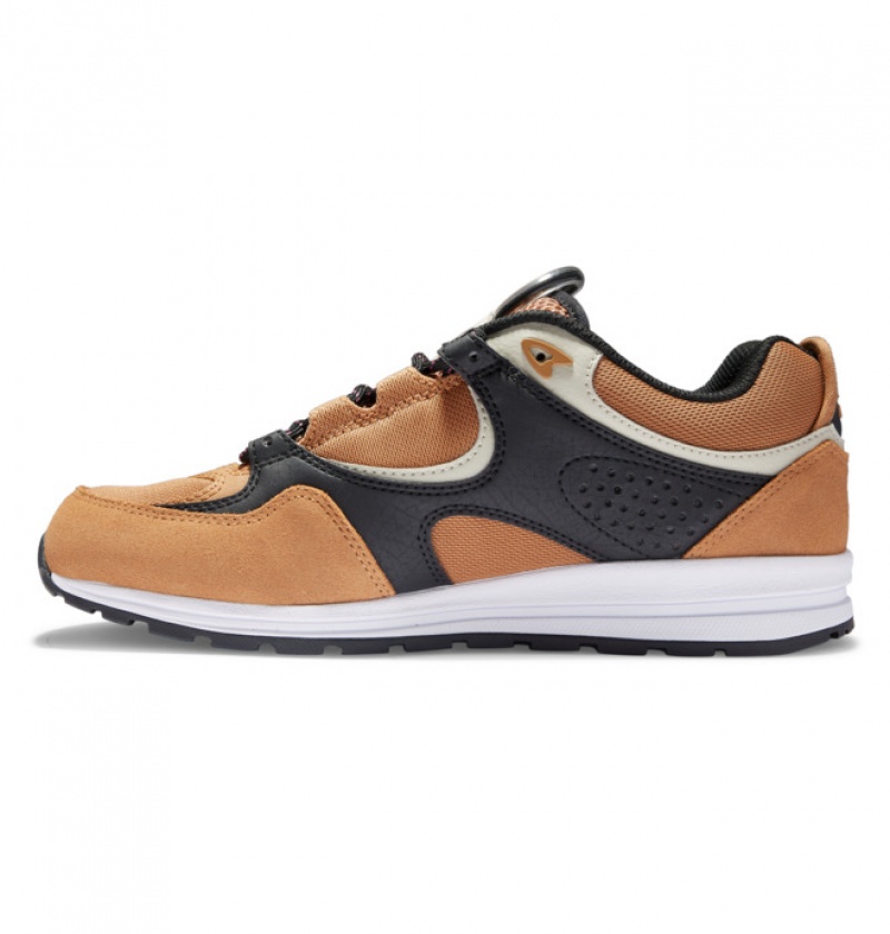 Hombre Tenis Skate DC Shoes Kalis Lite Marrones Negras Blancas | WDL-859162