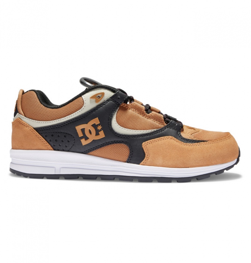 Hombre Tenis Skate DC Shoes Kalis Lite Marrones Negras Blancas | WDL-859162