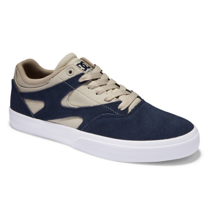 Hombre Tenis Skate DC Shoes Kalis Vulc Azul Marino Kaki | XPG-459716