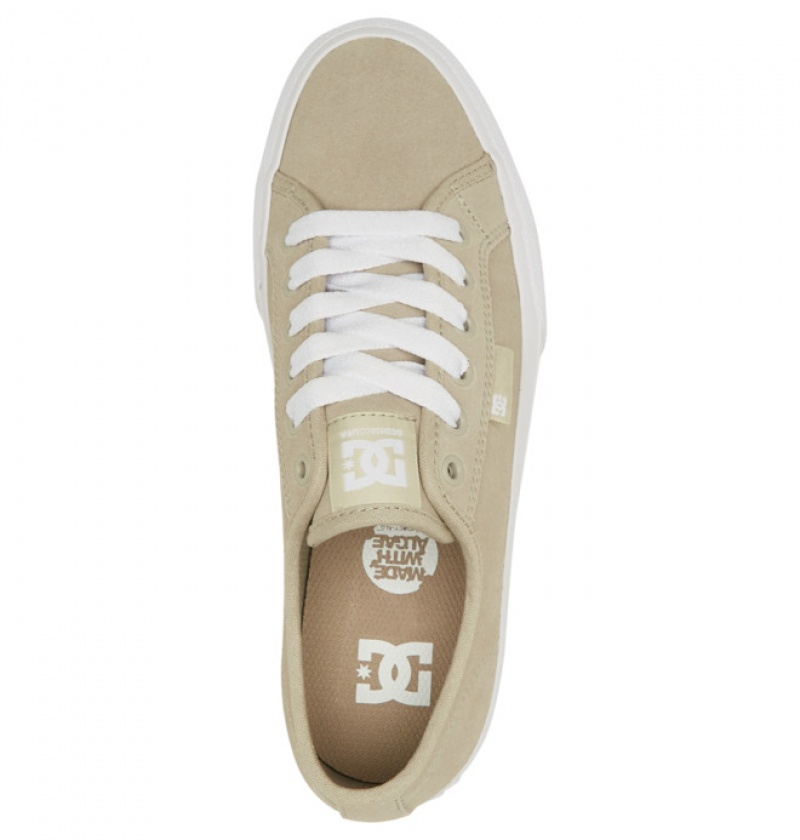 Mujer Tenis DC Shoes Manual Marrones Marrones | ERH-375849