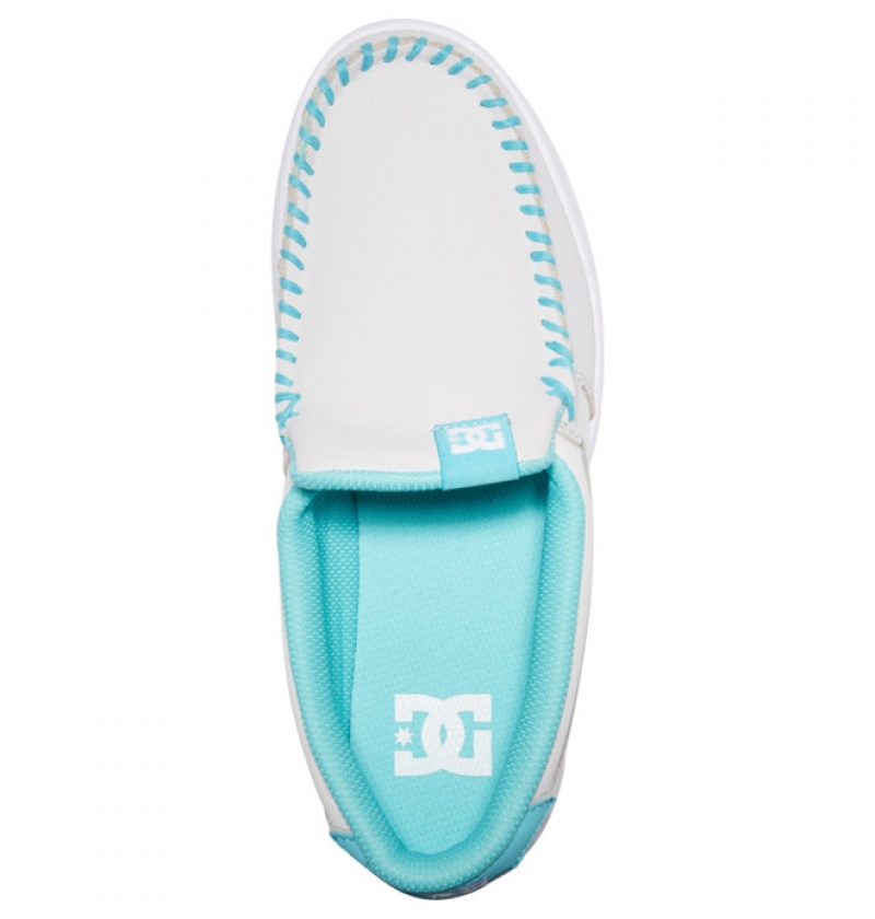 Mujer Tenis DC Shoes Villain Slip On Gris Verde | AOK-547618