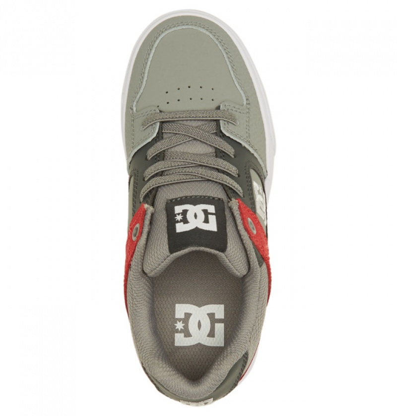 Niños Pure DC Shoes Elastic Krajkové Gris Gris Blancas | AKP-690378