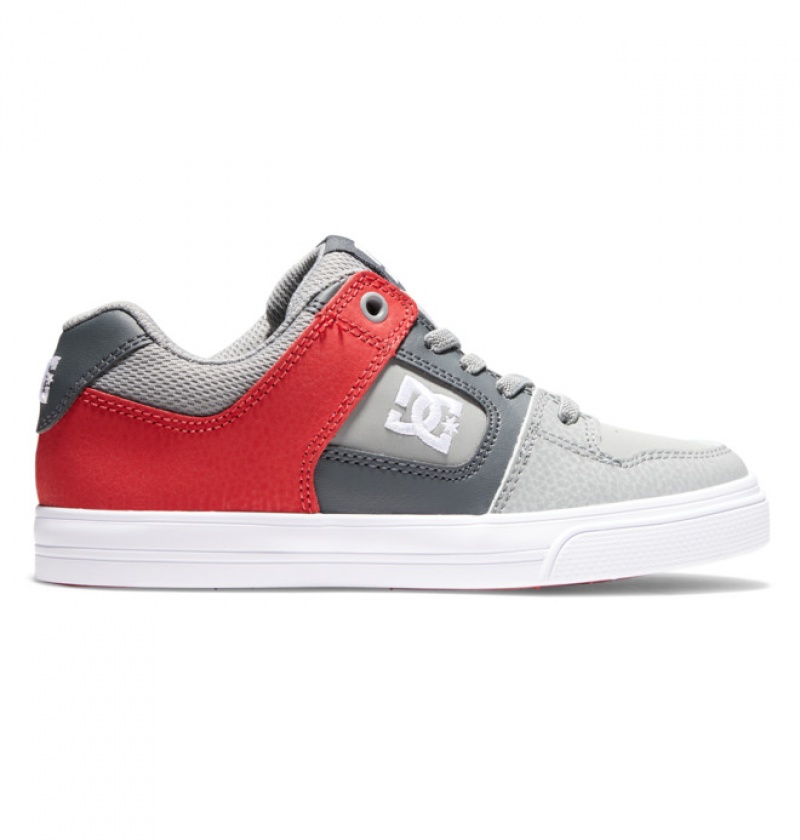 Niños Pure DC Shoes Elastic Krajkové Gris Gris Blancas | AKP-690378