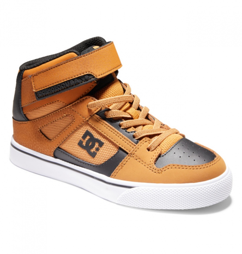 Niños Pure DC Shoes High Elastic Krajkové High-Top Marrones Negras | VRX-941652