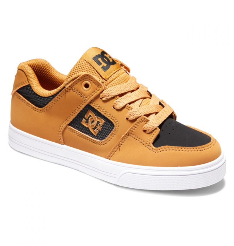 Niños Pure DC Shoes Marrones Negras | QFU-253761