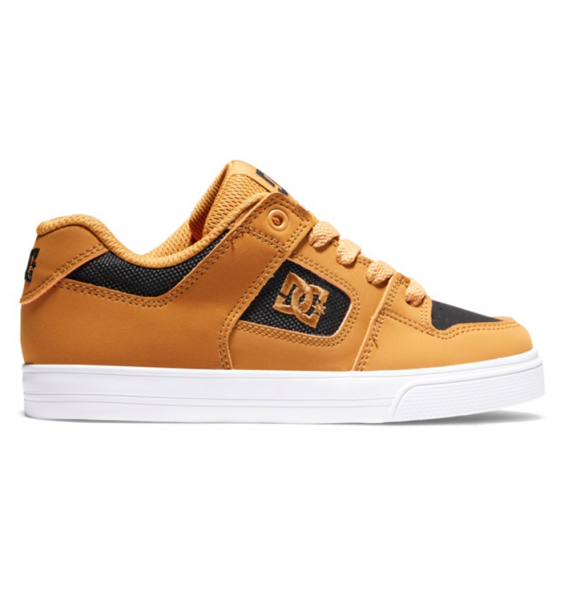 Niños Pure DC Shoes Marrones Negras | QFU-253761