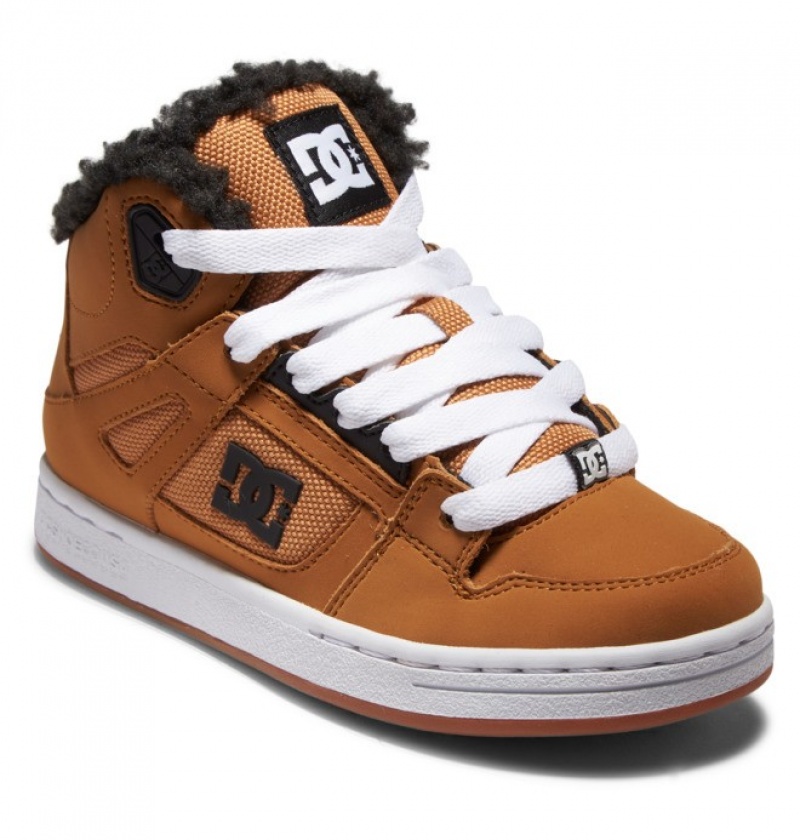 Niños Pure DC Shoes Winterized Marrones Marrones | DJI-683421