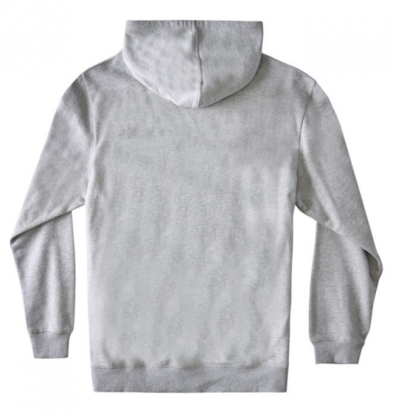 Niños Sudadera con Capucha DC Shoes DC Star Gris | BNG-964328