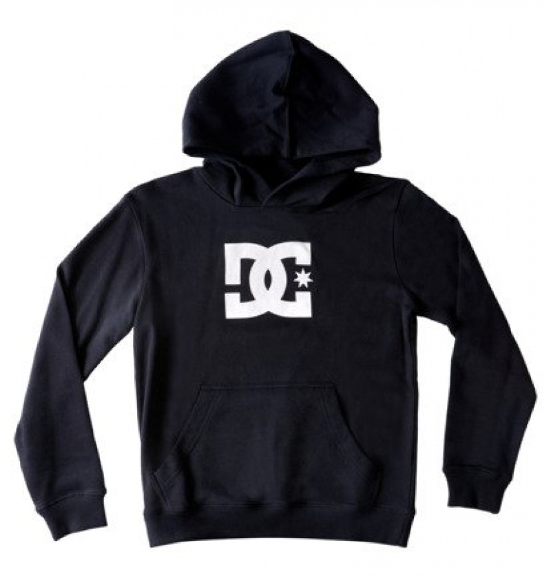 Niños Sudadera con Capucha DC Shoes DC Star Negras | FTJ-967514